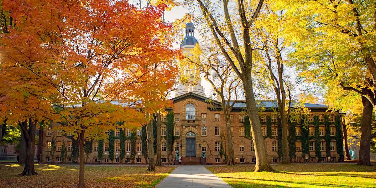 Princeton Virtual Campus